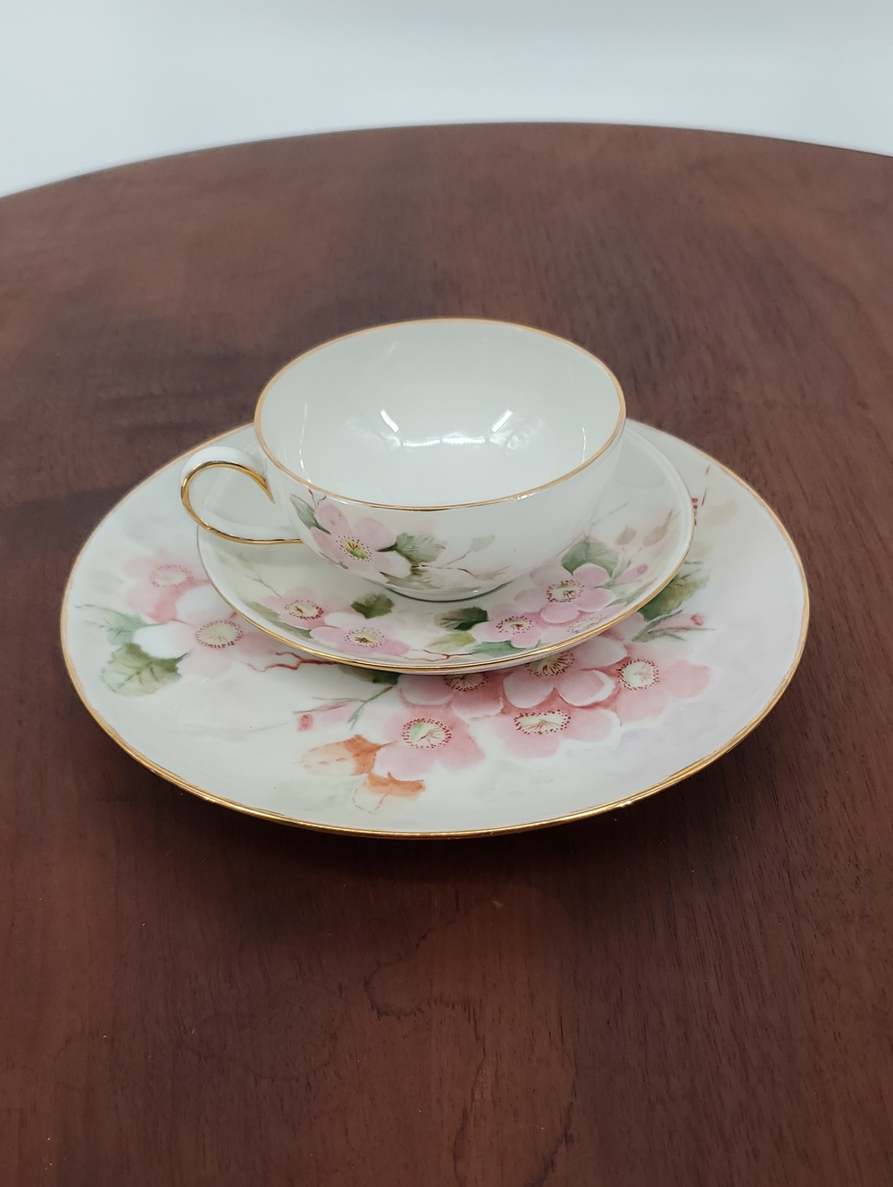 Pink Floral Hutschenreuther Selb Teacup Saucer Dessert Plate Trio